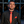 Léo Falcão Viera Furtado's avatar